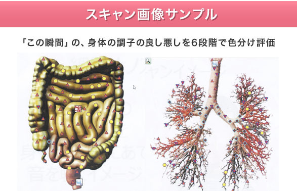 メタトロン :『SAKURA』イメージ